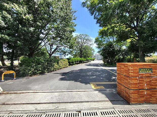 碧南市立新川小学校(約1,092m)