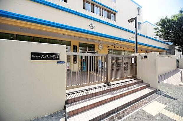 墨田区立文花中学校(墨田区立文花中学校まで800m 徒歩10分。)