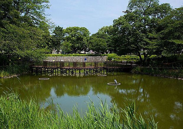文庫の森(約790m)