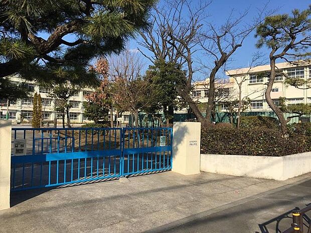 葛飾区立半田小学校(約970m)