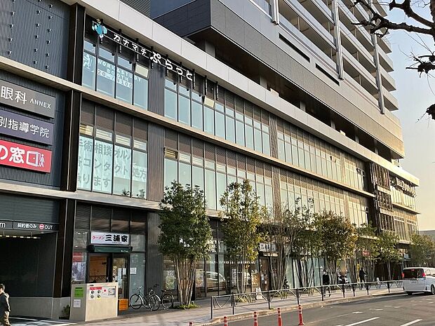 ベルトーレ金町(約1,100m)