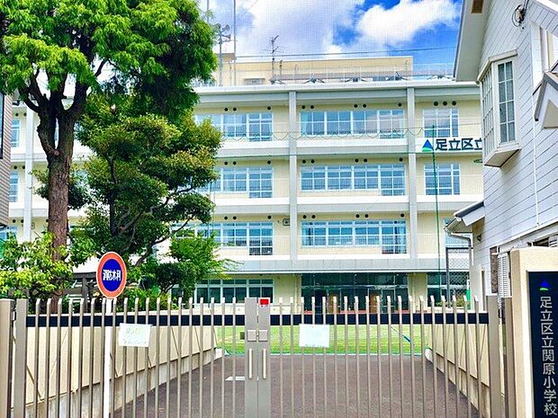 足立区立関原小学校（約600m）