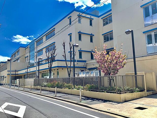 墨田区立文花中学校(約600m)