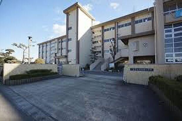 一宮市立丹陽南小学校（約1,000m）