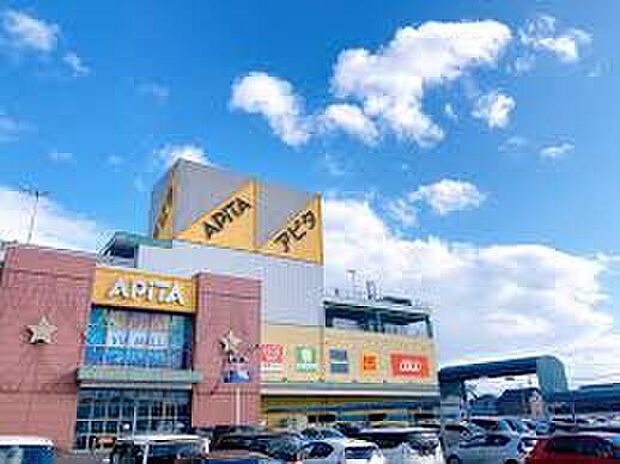 アピタ江南西店（約950m）