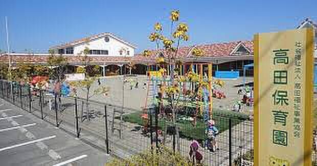 高田幼稚園(約700m)