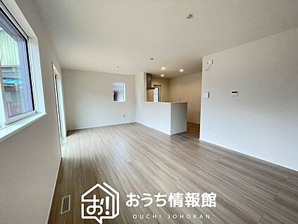 現地写真(リビング)