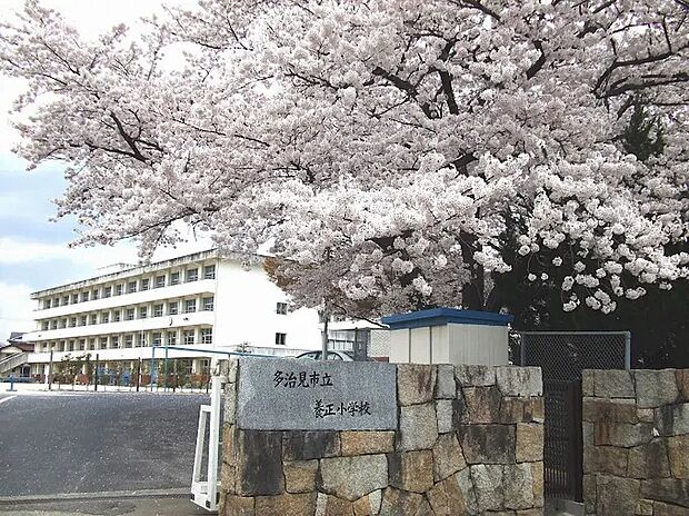 多治見市立養正小学校（約1,200m）