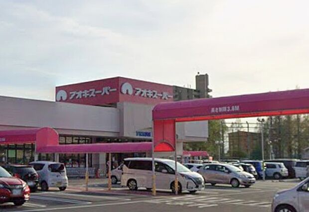 アオキスーパー三条店(約260m)