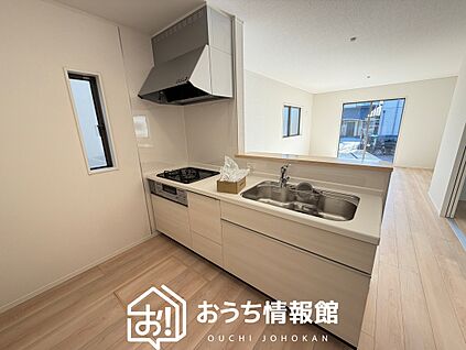 現地写真(キッチン)