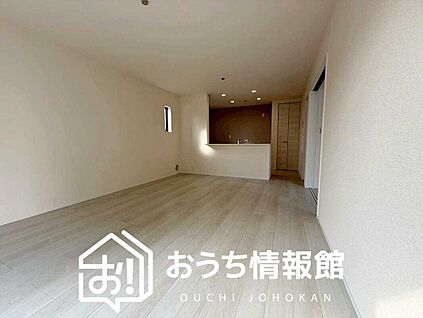 現地写真(リビング)