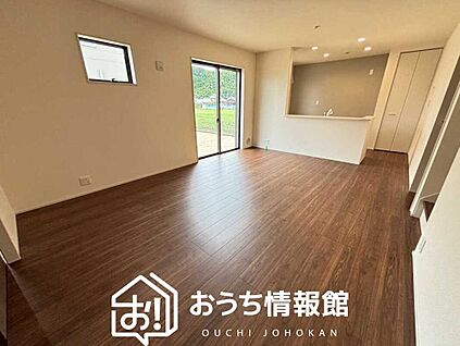 現地写真(リビング)