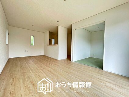現地写真(リビング)