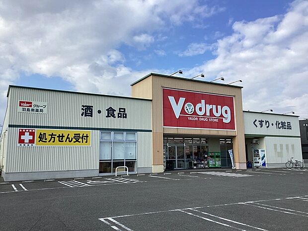 V・drug羽島南店（約700m）