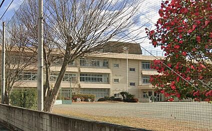 津市立敬和小学校 800ｍ(徒歩10分)