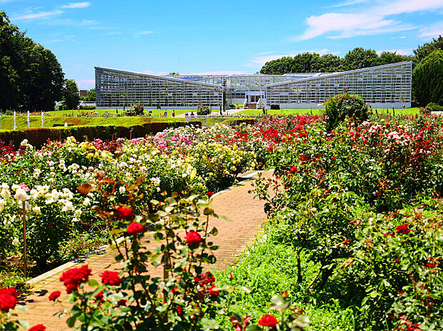 神代植物公園(約240m)