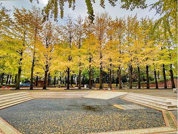 小平中央公園（約600m）