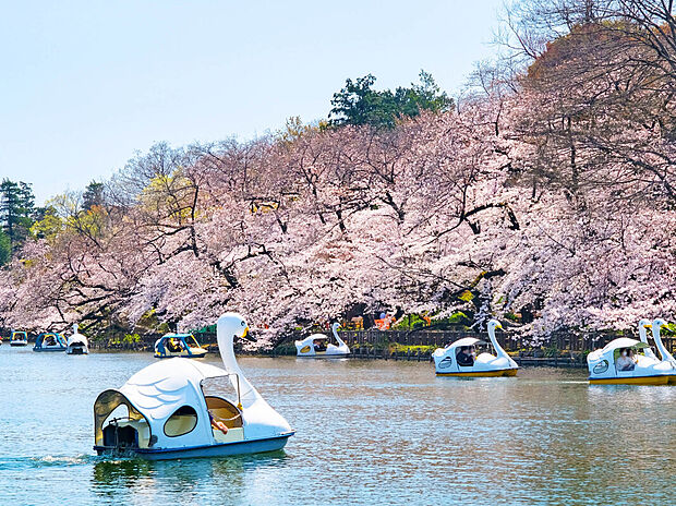井の頭公園(約1,000m)