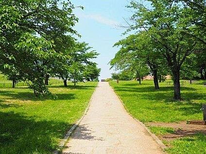 狭山公園 400ｍ(徒歩5分)