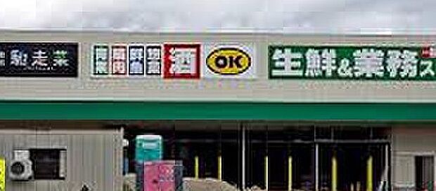 業務スーパー新庄高田店（約530m）