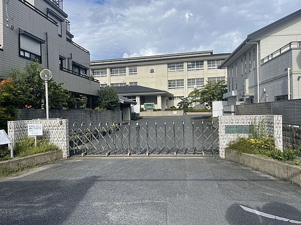 桜井市立大三輪中学校(約1,100m)