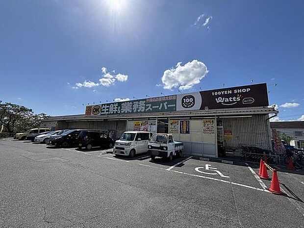 業務スーパー大安寺店(約850m)