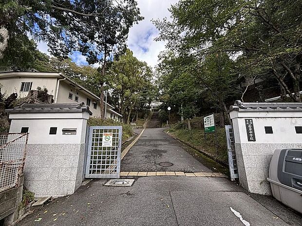 奈良市立若草中学校(約2,300m)