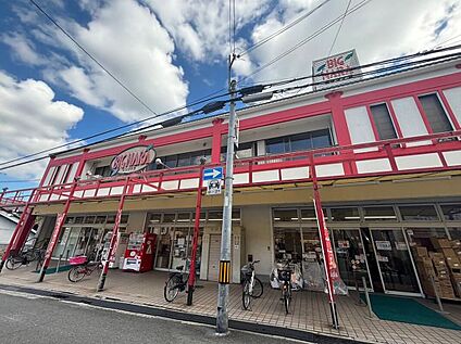 ビッグナラ本店 750m(徒歩10分)