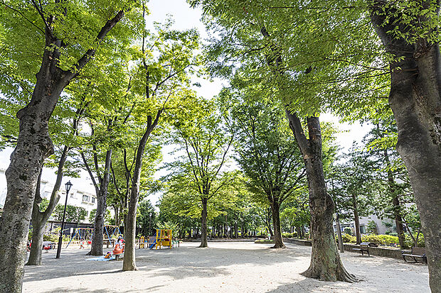 大宮前公園（約1,390m）