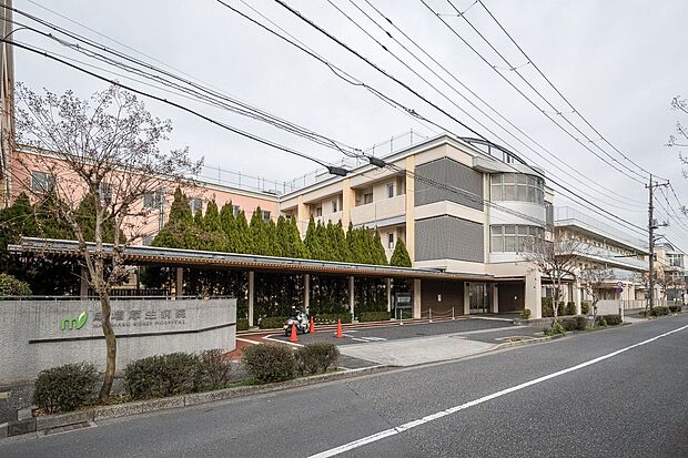 成増厚生病院(約800m)