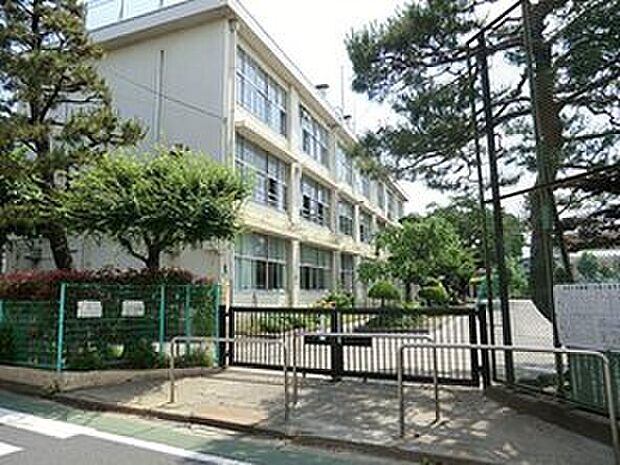 練馬区立上石神井小学校(約1,050m)