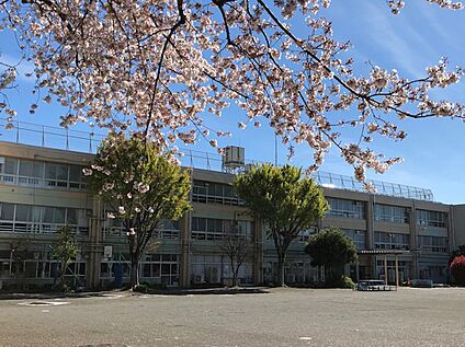 練馬区立橋戸小学校 630ｍ(徒歩8分)