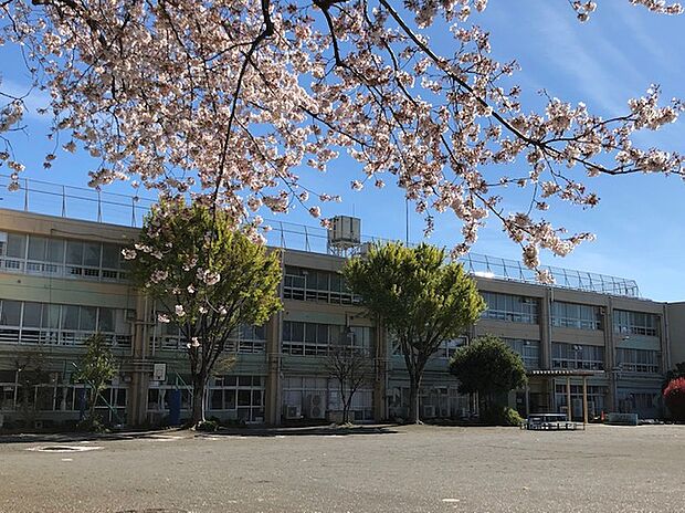 練馬区立橋戸小学校(約630m)
