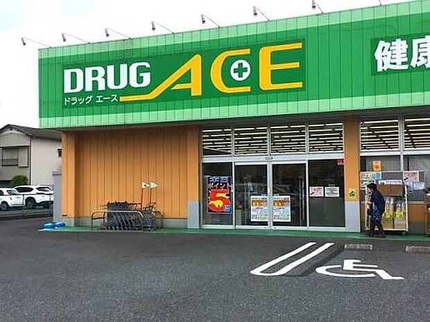 ドラッグ・エース本町店（約300m）