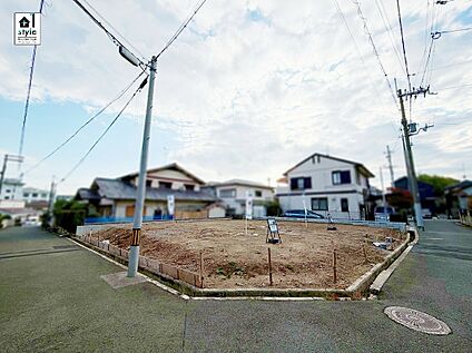 現地写真