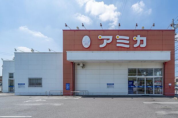 アミカ西尾店（約655m）