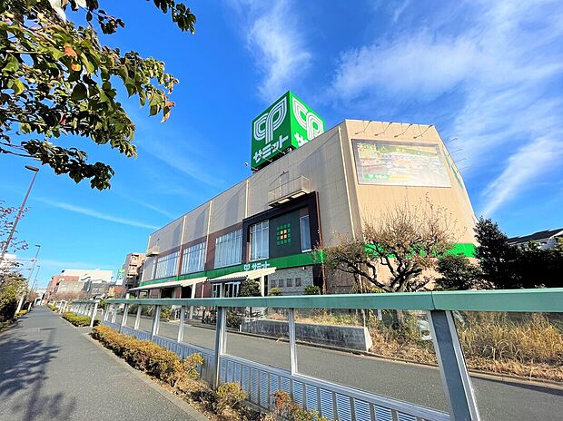 サミットストア環八南田中店(約277m)