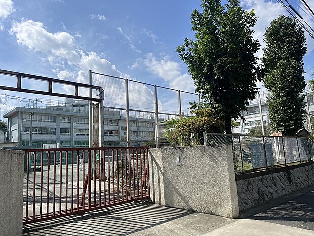 目黒区立東根小学校（約600m）