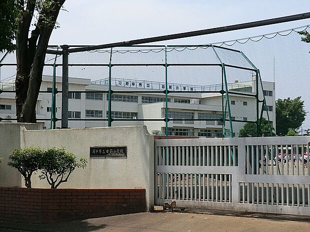 府中市立日新小学校(約560m・徒歩7分)