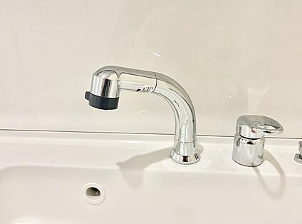 食器洗い機付き