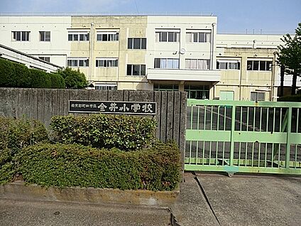町田市立金井小学校 1500m(19分)