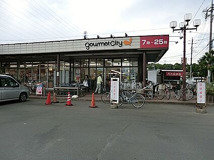 グルメシティ立川若葉店 799m(10分)
