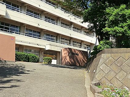 海老名市立大谷学校中学校 400m(5分)