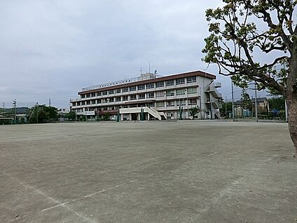 稲城市立稲城第三中学校 60m(1分)