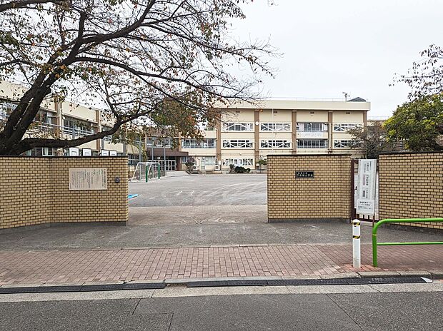 下赤塚小学校(約800m)