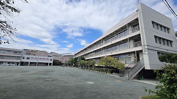 桜野小学校(約350m)