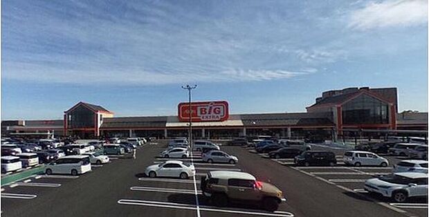 ザ・ビッグエクストラ弥富店(約1,200m)