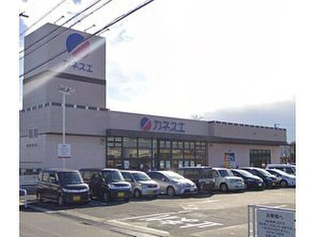 カネスエ平和店（約1,370m）