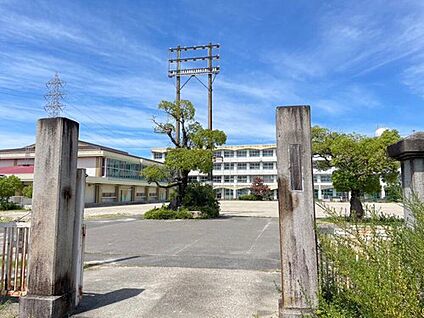 津島市立西小学校 800m(徒歩10分)