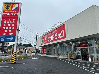 サンドラッグ籠原店 890ｍ(徒歩12分)